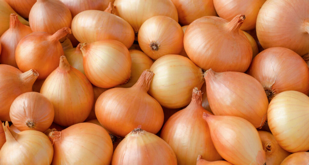 Turkish Onion Exporter